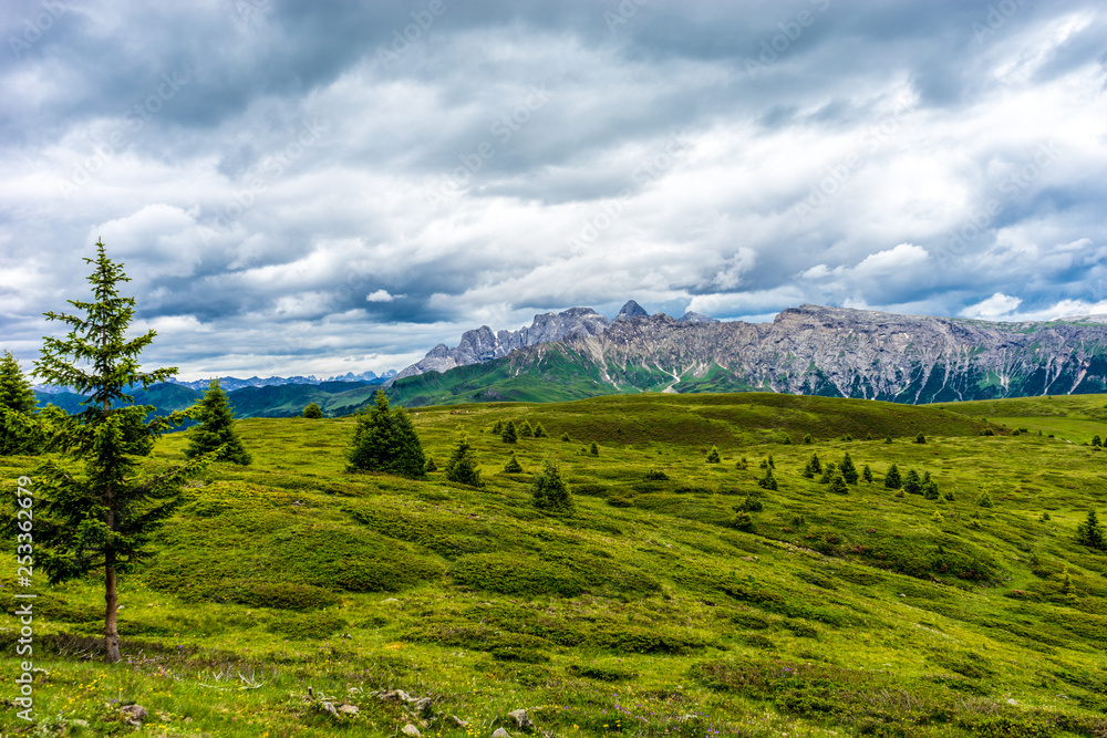 Obraz premium Alpe di Siusi, Seiser Alm with Sassolungo Langkofel Dolomite, a close up of a lush green field in a valley canyon