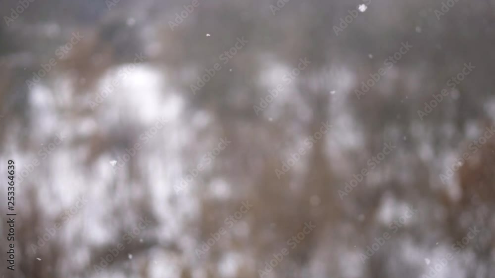 Slow motion of snow flakes falling against a blurred winter nature background Slow motion of snow flakes falling against a blurred winter nature background