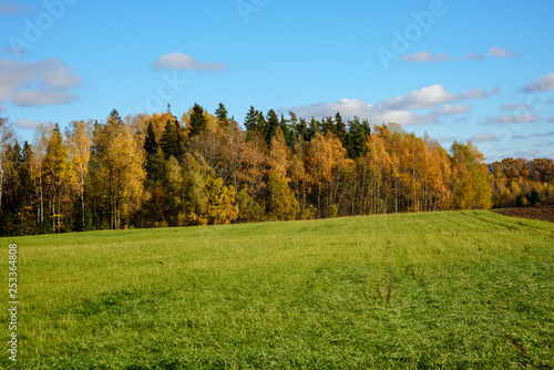 green cultivated fields in countryside