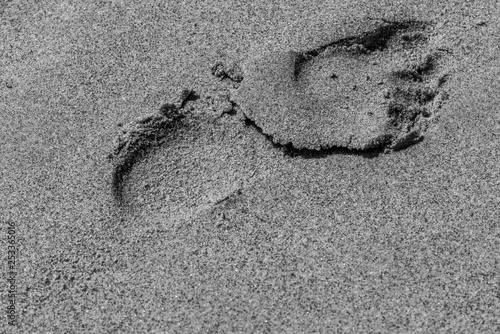 footprint on the beach 