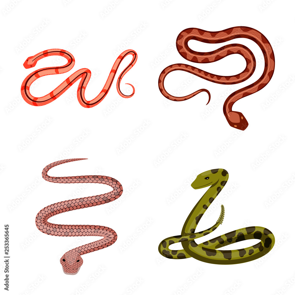 Fototapeta premium Vector illustration of poison and evil logo. Set of poison and bite vector icon for stock.