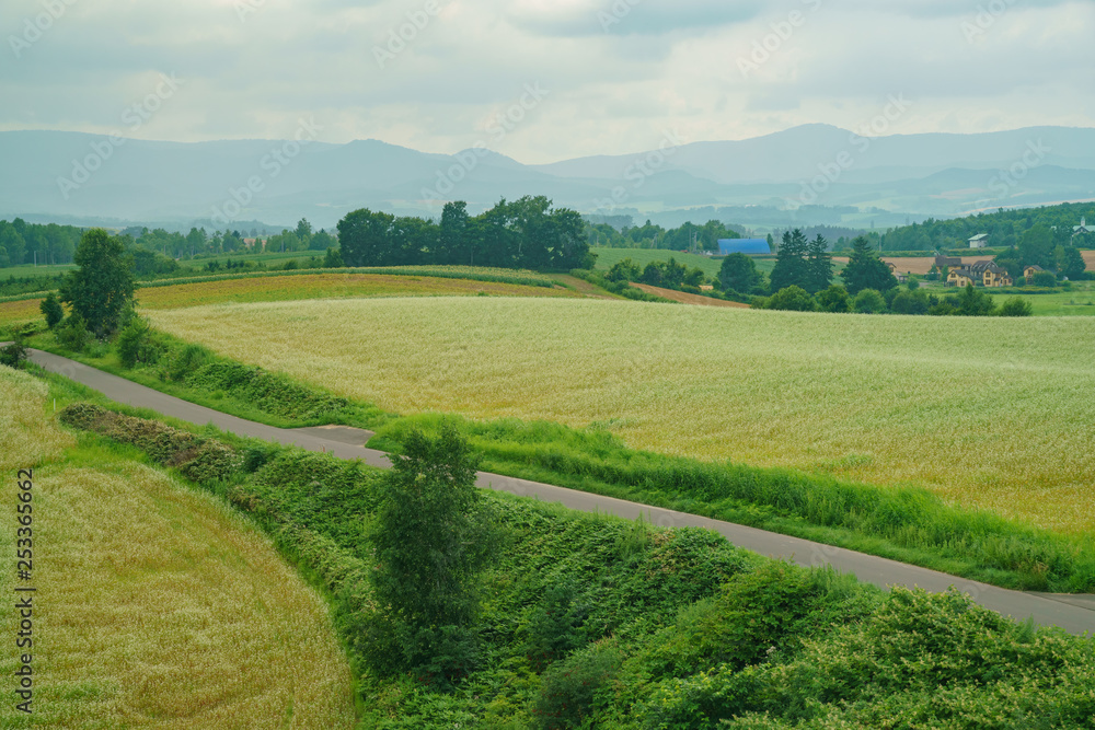 Aerial landscape from Hokusei no Oka Tenbo Park