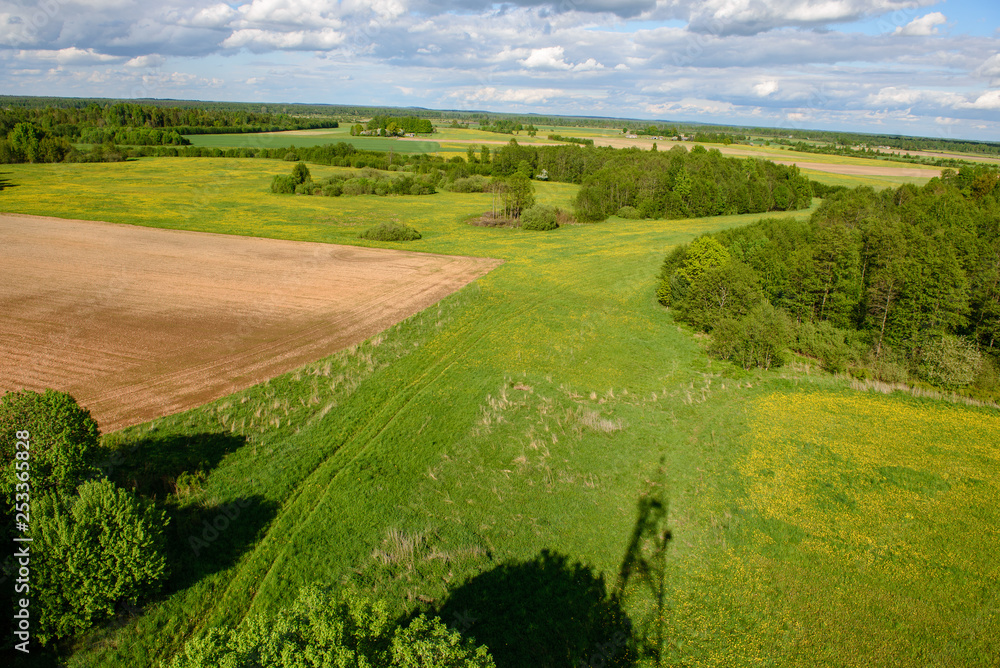 Naklejka premium green cultivated fields in countryside
