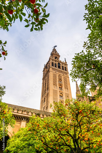 La Giralda de la cathédrale de Séville en Andalousie, Espagne