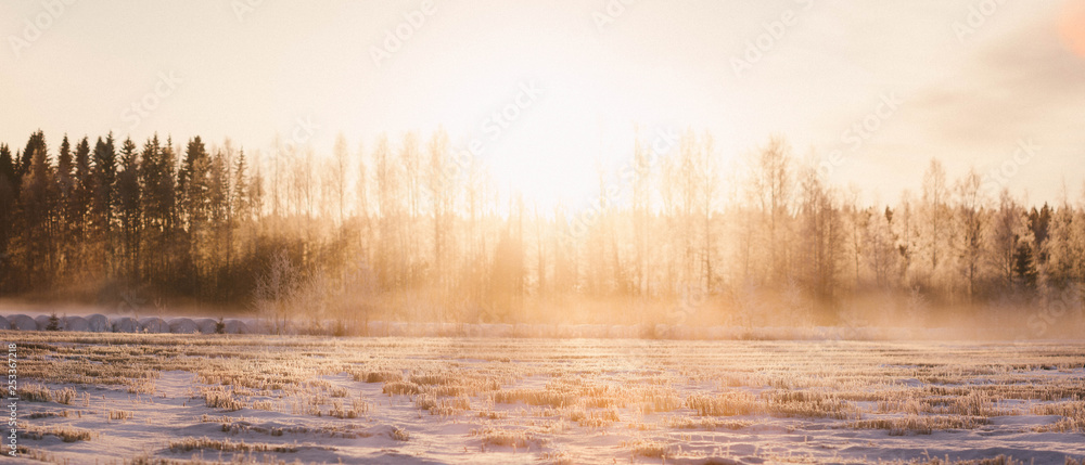 Sunrise winter fog field