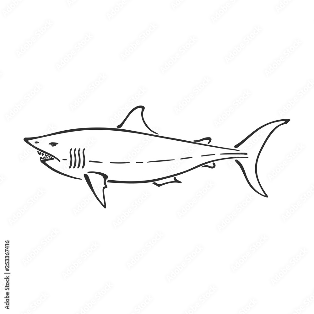 White shark character abstract ink hand drawn vector logo cartoon. Simplified retro illustration. Ocean blue. Sea animal curve paint sign. Doodle sketch. Element for design, wallpaper, fabric print.