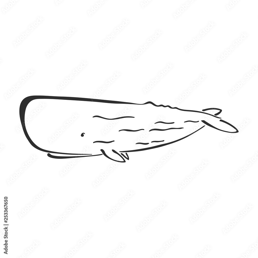 Whale, cachalot character abstract ink hand drawn vector logo cartoon. Retro illustration. Marine wild mammal. Ocean and sea animal curve paint sign. Doodle sketch. Element for design, fabric print. Whale, cachalot character abstract ink hand drawn vector logo cartoon. Retro illustration. Marine wild mammal. Ocean and sea animal curve paint sign. Doodle sketch. Element for design, fabric print.