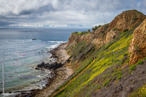 Pelican Cove Super Bloom