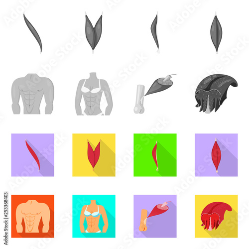 Isolated object of fiber and muscular logo. Set of fiber and body  stock vector illustration.