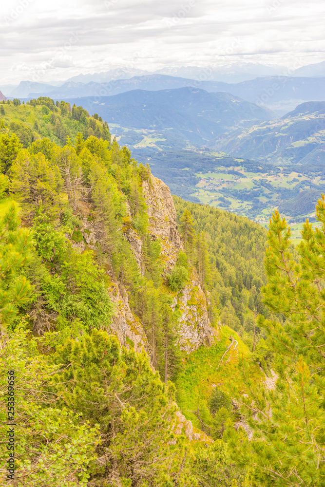 Obraz premium Alpe di Siusi, Seiser Alm with Sassolungo Langkofel Dolomite, a tree with a mountain in the background