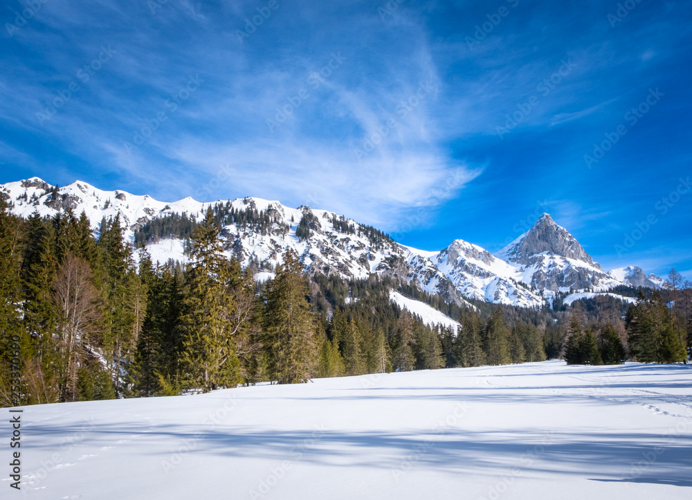 Panoramic view over snowy plateau Kaiserau with mountain Admonter Kalbling