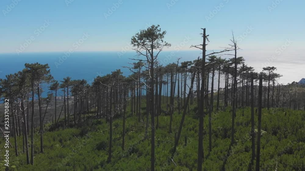 Landscape view of beach and blue sea under mountain slope on sunny summer day, aerial shot Landscape view of beach and blue sea under mountain slope on sunny summer day, aerial shot