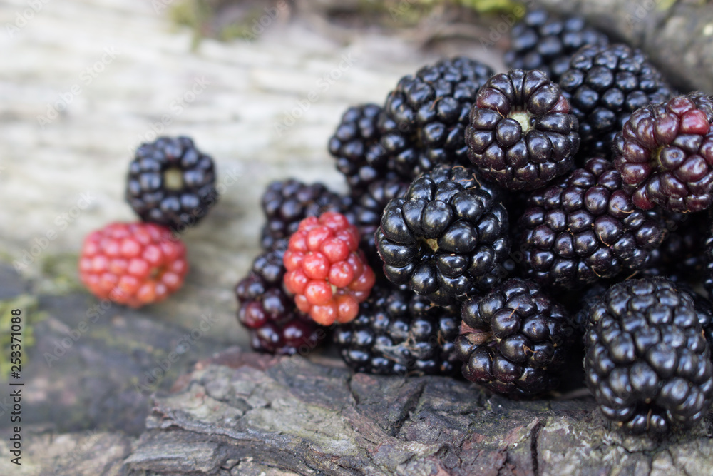 Benefits Of Blackberries For Hair And Health The fruit is deep purple