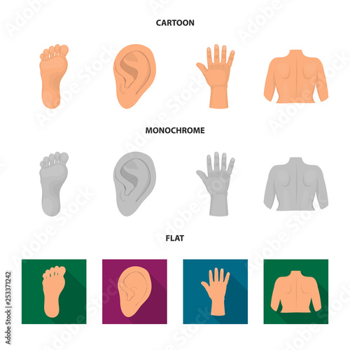 Vector design of body and part sign. Set of body and anatomy vector icon for stock.