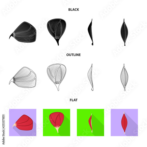 Vector design of fiber and muscular symbol. Collection of fiber and body  stock vector illustration.