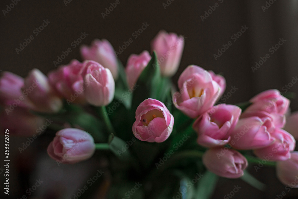A bouquet of spring beautiful flowers. Fresh Pink tulips. A bouquet of spring beautiful flowers. Fresh Pink tulips.