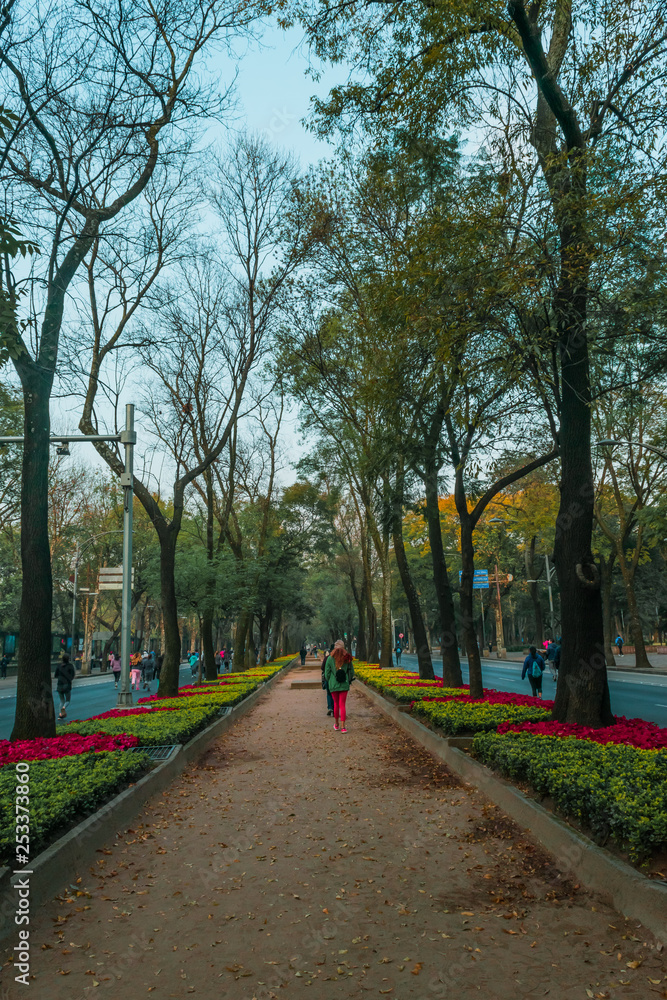 Hall full of flowers 