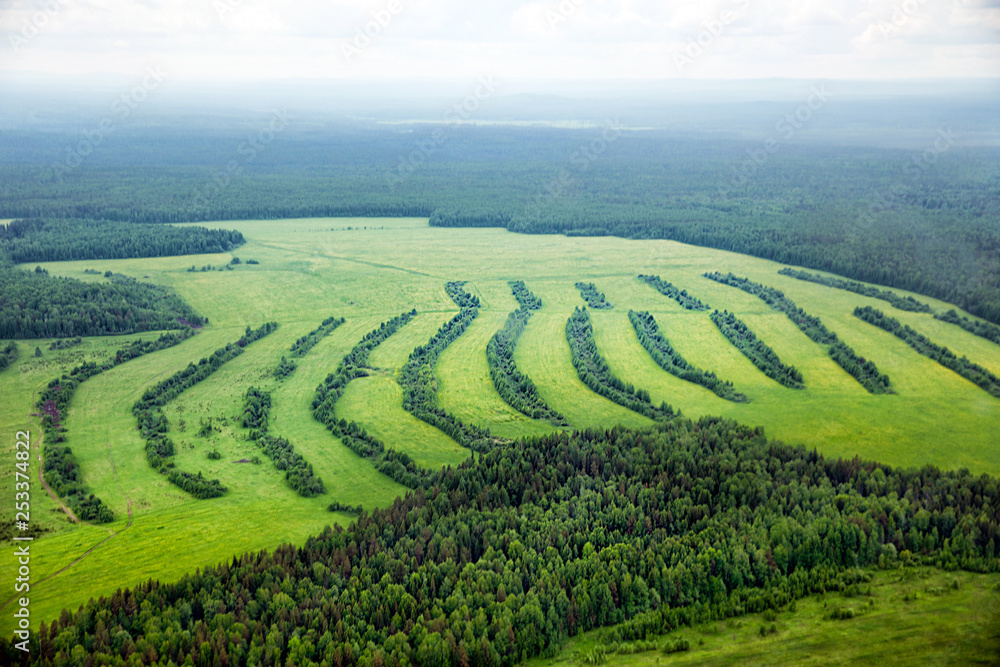 Top view of the forest and fields. Northern landscape. Endless forests