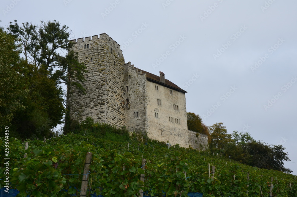 Schweizer Burg