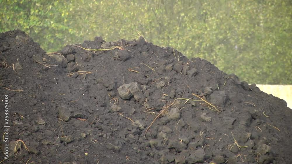 Fertilizer consisting of rotting remains of aquatic life and fauna. Fertilizer extracted from the lake (Sapropel) and lies on the ground in a big pile. Fertilizer consisting of rotting remains of aquatic life and fauna. Fertilizer extracted from the lake (Sapropel) and lies on the ground in a big pile.