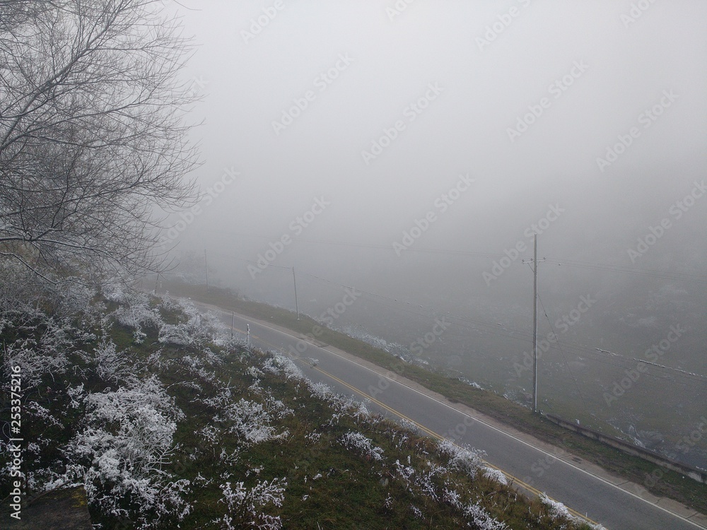 Fototapeta premium traveling through the frost
