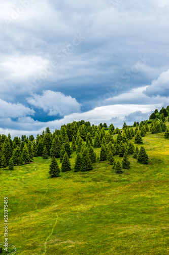 Alpe di Siusi, Seiser Alm with Sassolungo Langkofel Dolomite, a close up of a lush green field