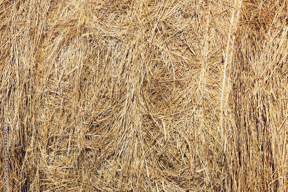 Dry yellow hay, straw or grass, background texture Dry yellow hay, straw or grass, background texture
