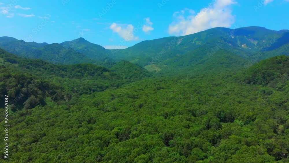 green forest with mountains in the backround green forest with mountains in the backround