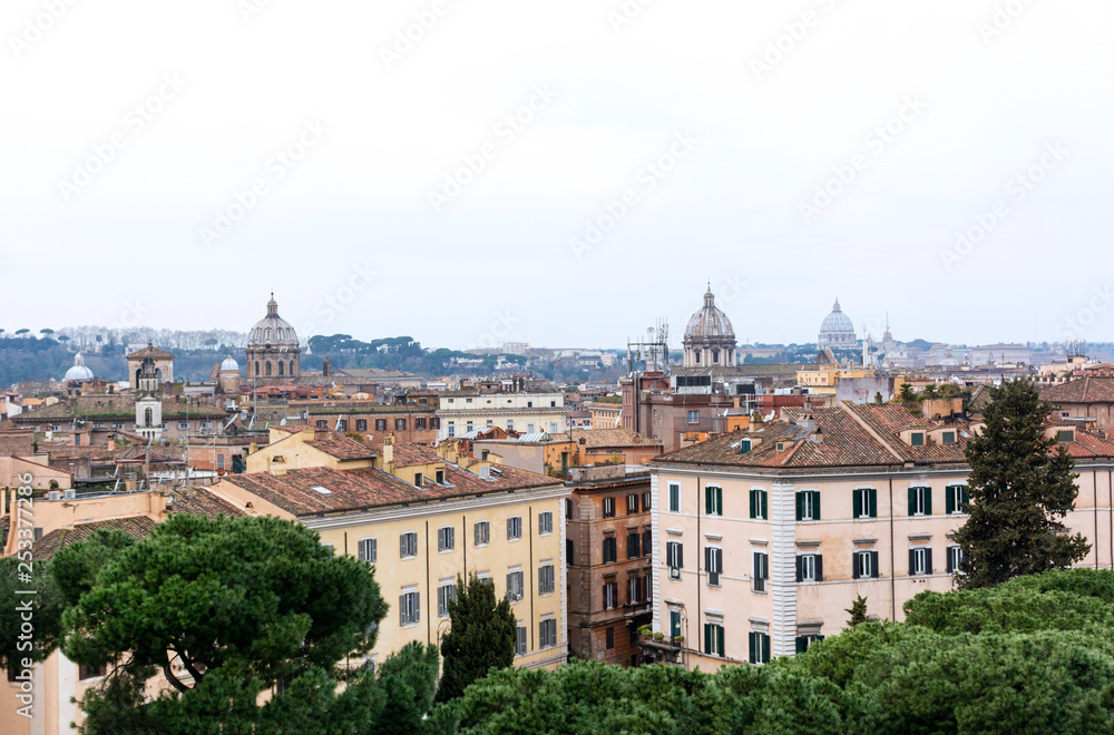 view of Rome, roofs, buildings, pine trees on cloudy day