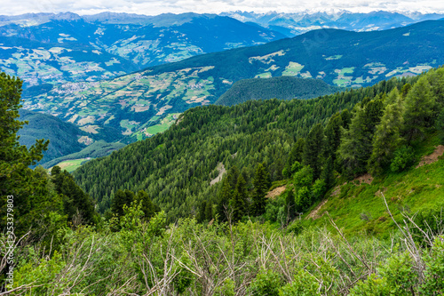 Alpe di Siusi, Seiser Alm with Sassolungo Langkofel Dolomite, a view of a lush green hillside © SkandaRamana