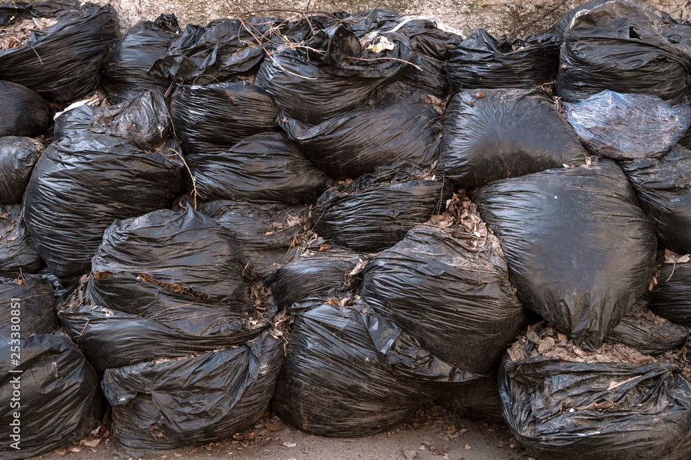 Large pile of garbage or leaves in black plastic bags lies in outdoors on an asphalt surface. The concept of pollution environment.