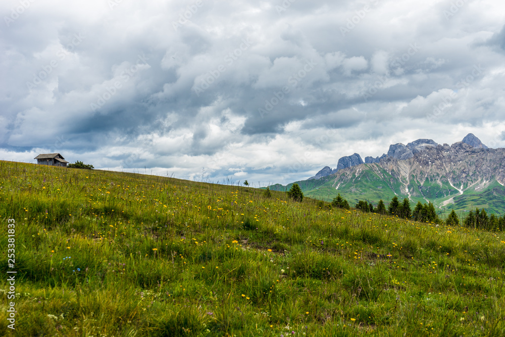Alpe di Siusi, Seiser Alm with Sassolungo Langkofel Dolomite, a group of clouds on a grassy hill