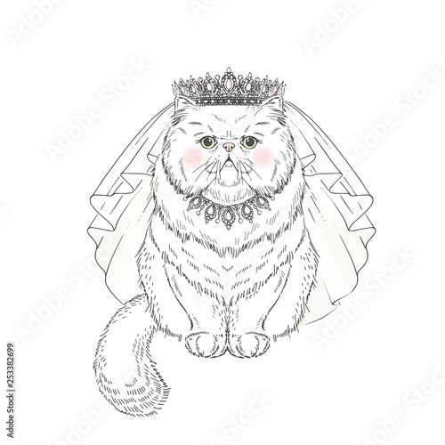 Beautiful white persian cat royal bride in diadem necklace and wedding veil. Vector hand drawn realistic cat illustration. Perfect for wedding party design.