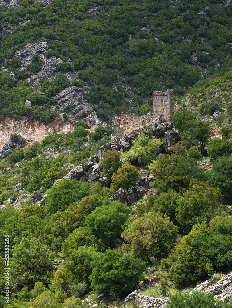 Stone tower ruins on a steep rocky cliff with trees  in Mani, Greece.