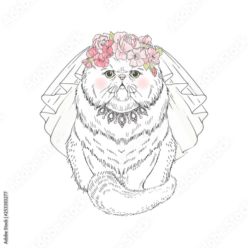 Beautiful white persian cat bride in floral wreath necklace and wedding veil. Vector hand drawn realistic cat illustration. Perfect for wedding party design.