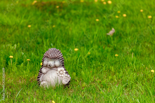 Hedgehog with flower on green grass photo