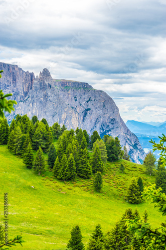 Alpe di Siusi, Seiser Alm with Sassolungo Langkofel Dolomite, a close up of a lush green fieldAlpe di Siusi, Seiser Alm with Sassolungo Langkofel Dolomite, a close up of a lush green field