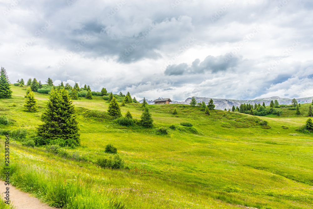 Alpe di Siusi, Seiser Alm with Sassolungo Langkofel Dolomite, a close up of a lush green field Alpe di Siusi, Seiser Alm with Sassolungo Langkofel Dolomite, a close up of a lush green field