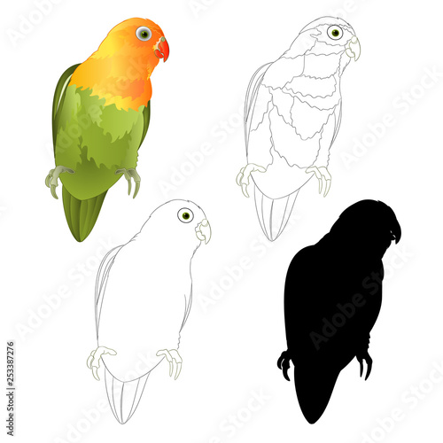 Parrot Agapornis lovebird tropical bird  natural and outline and silhouette on a white background vector illustration editable hand draw