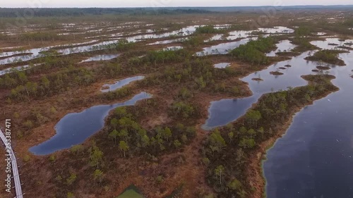 Rised bog high water level aerial autumn vide view in Kemeri, Latvis photo