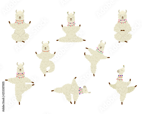 Collection cartoon funny cute llama alpaca practicing yoga position.