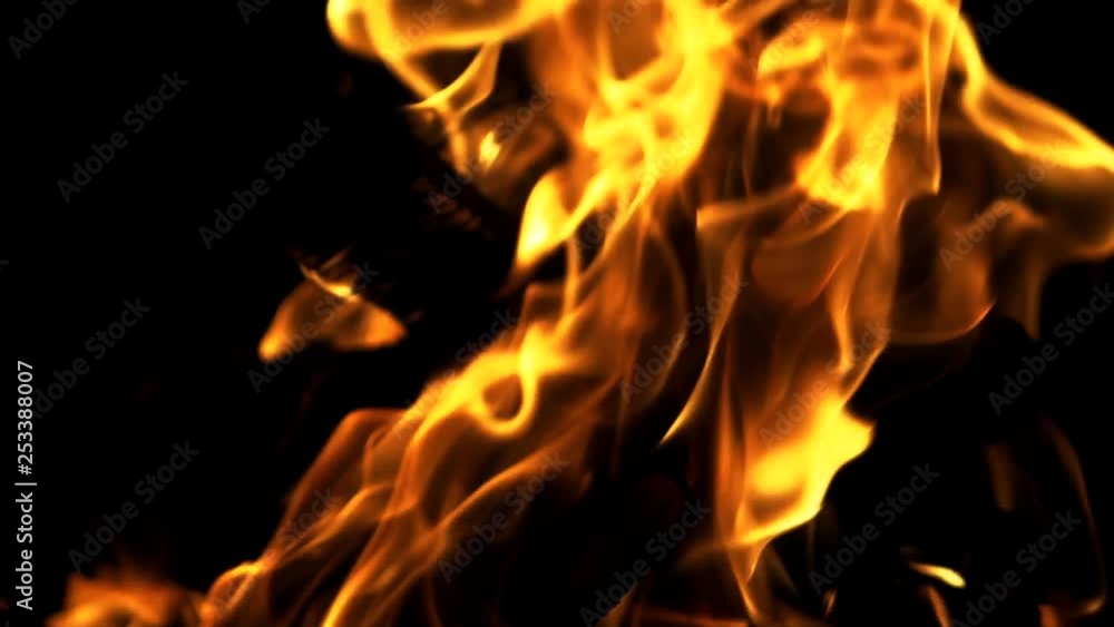 Burning Wood in Slow Motion. Bonfire. The fire is lit in the night Burning Wood in Slow Motion. Bonfire. The fire is lit in the night