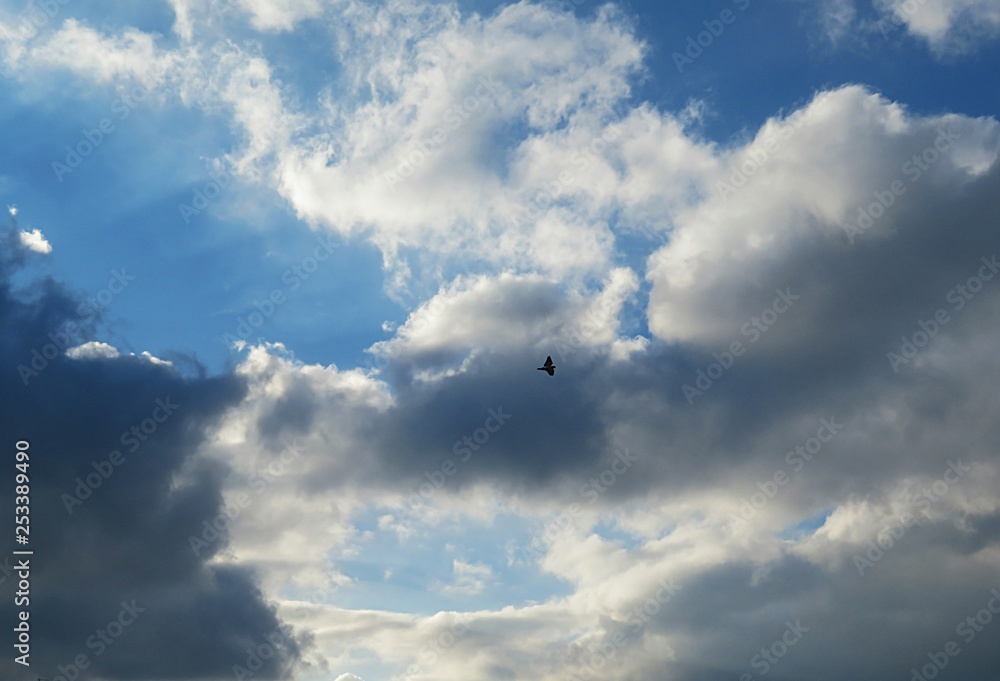 Beautiful cloudscape in blue sky, natural clouds background Beautiful cloudscape in blue sky, natural clouds background