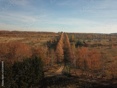 Photography Panorama sity copter moscow