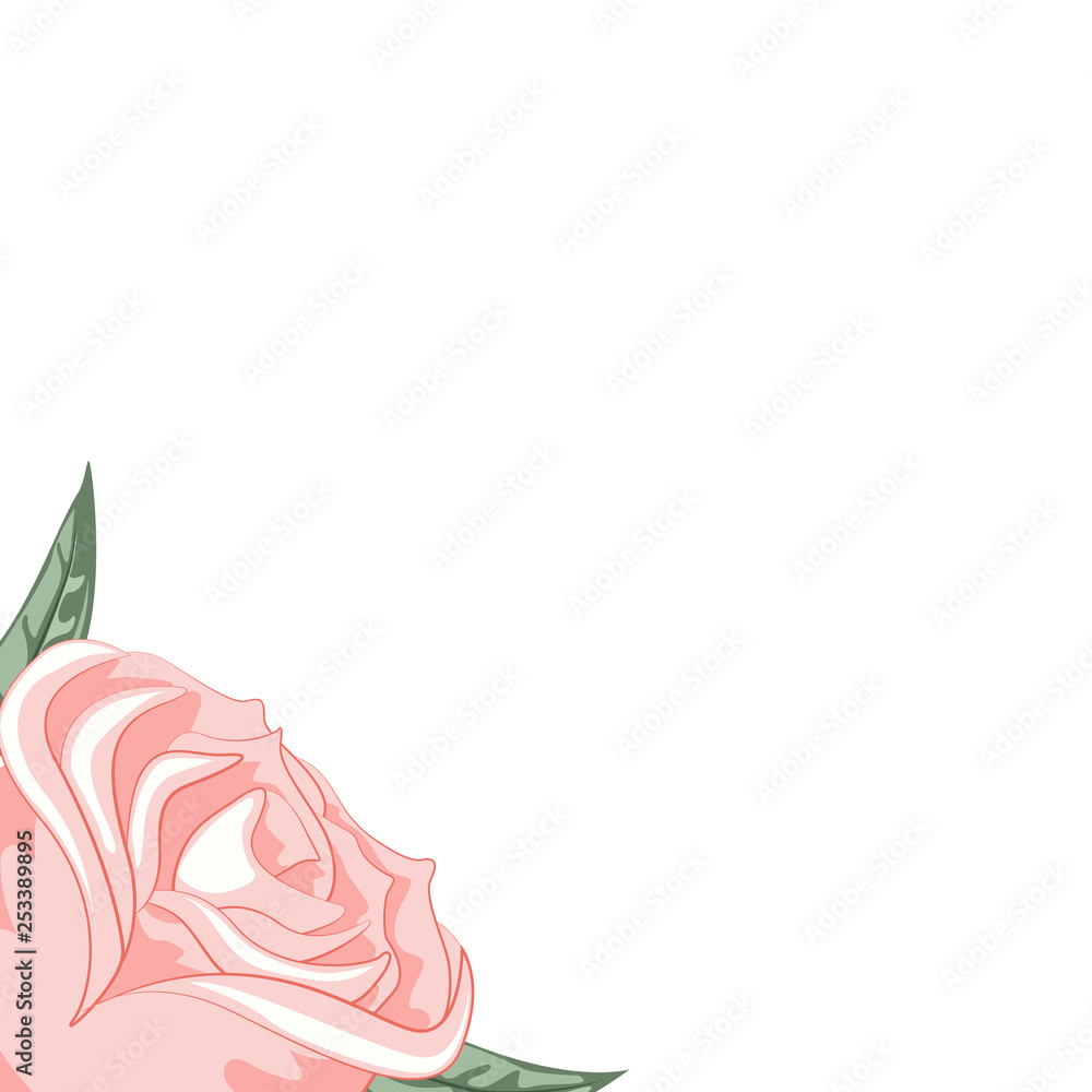 Obraz premium Beautiful rose frame for dedication