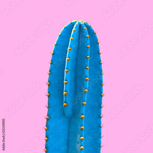 Fotografie Fashion Neon tropical Blue cactus