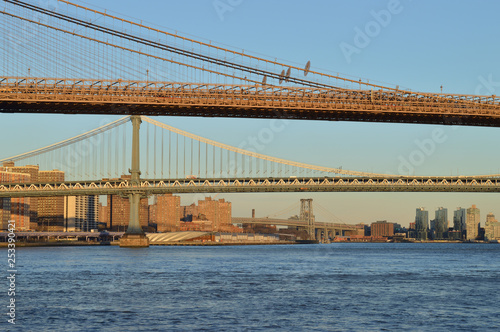 New York City bridges at sunset. © mshch