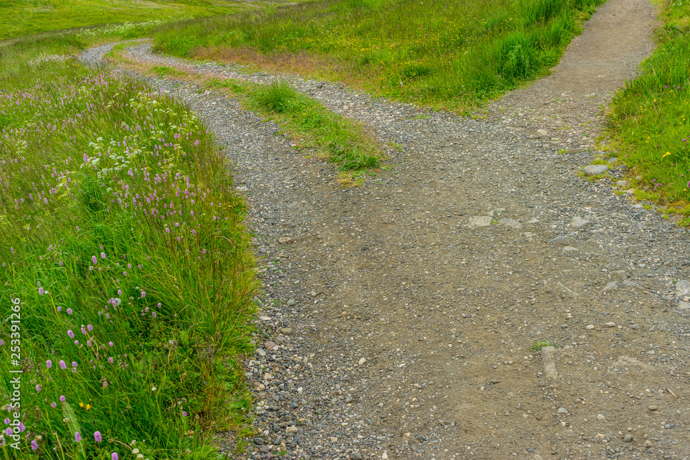Alpe di Siusi, Seiser Alm with Sassolungo Langkofel Dolomite, a trekking walking winding path splits in a lush green field
