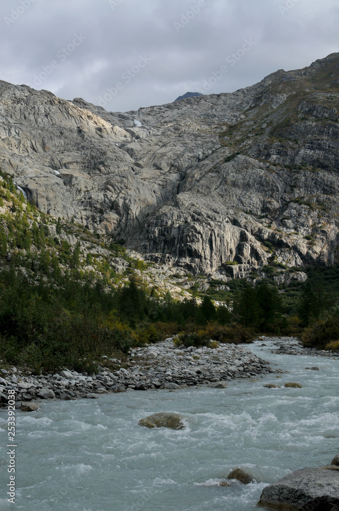 Fototapeta premium Junge Rhone