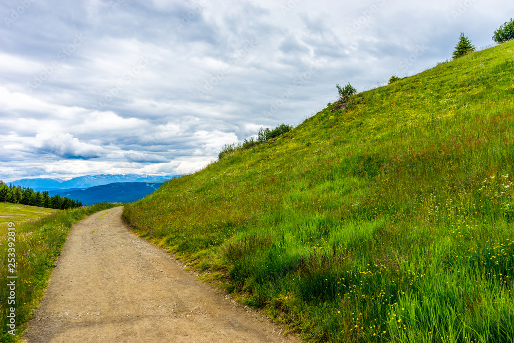Alpe di Siusi, Seiser Alm with Sassolungo Langkofel Dolomite, a trekking walking winding path in a lush green field Alpe di Siusi, Seiser Alm with Sassolungo Langkofel Dolomite, a trekking walking winding path in a lush green field
